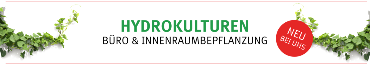 Unbenannt 3