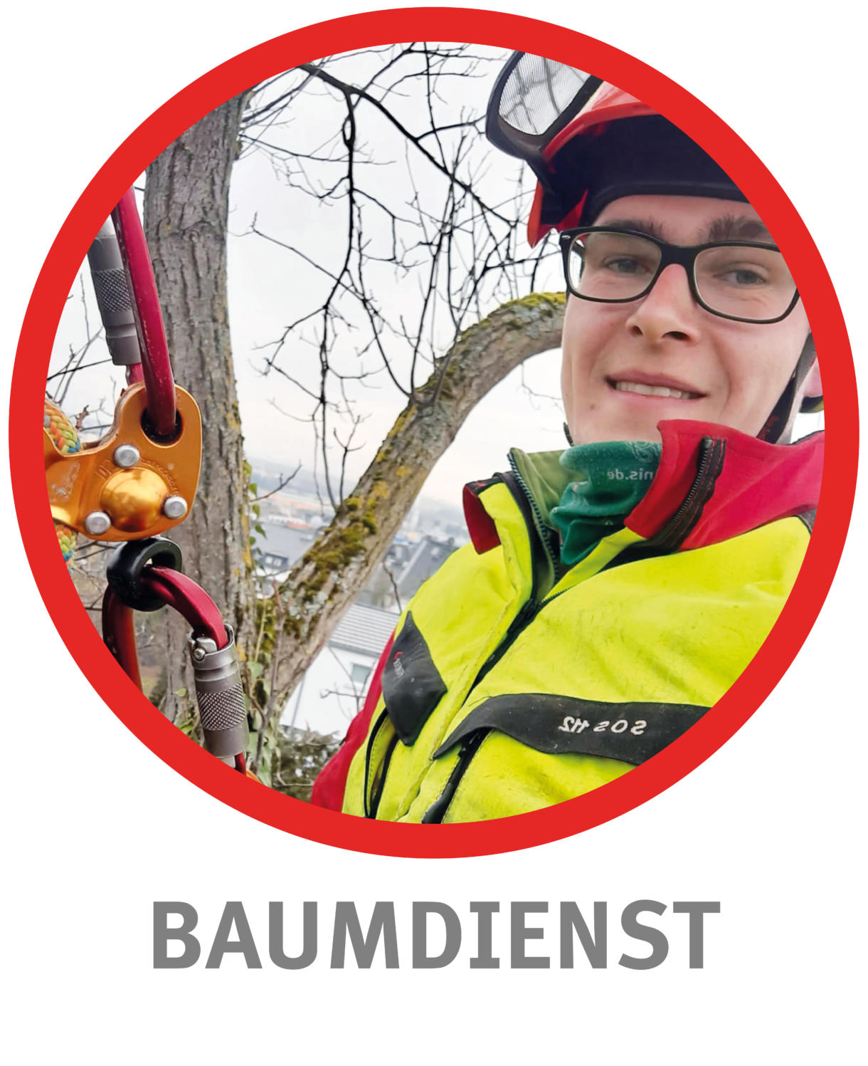 Baumkreis