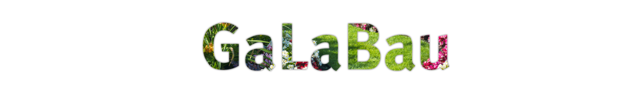 Galahead