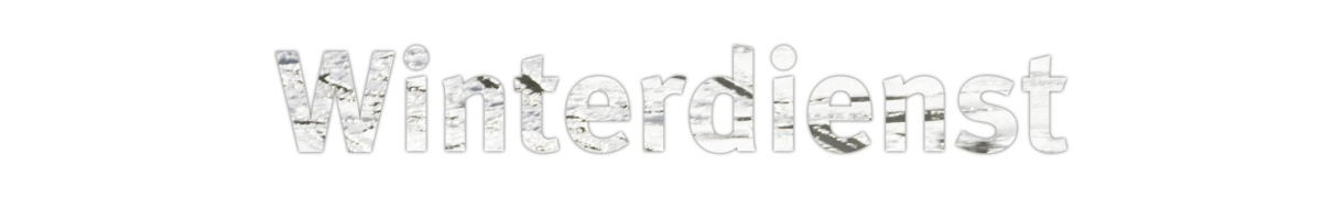 Winterdienst Head