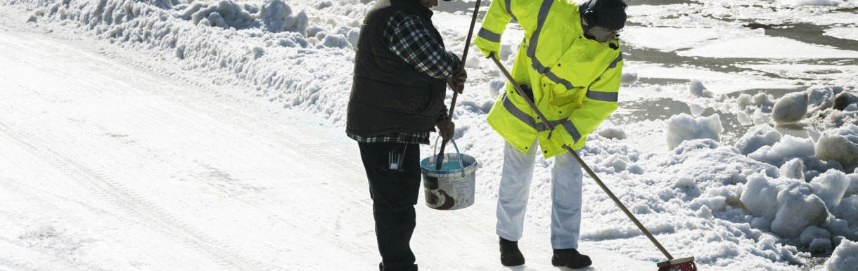 Winterhead